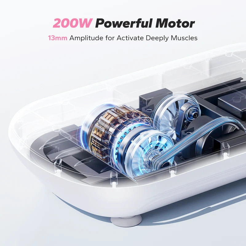 MR-2440P1 440lbs Vibration Plate & Weight Loss