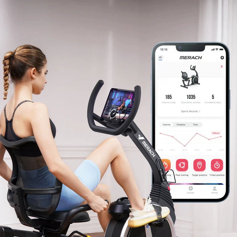 S19 Recumbent Exercise Bike for Home