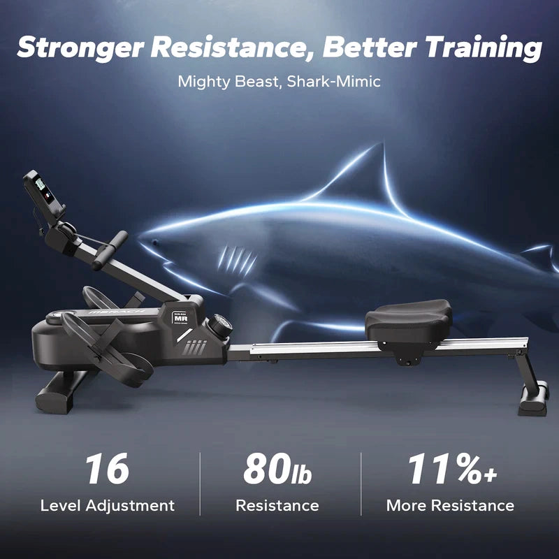 Meracg R25 Affordable Magnetic Foldable Rowing Machine