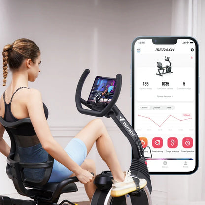 S19 Recumbent Exercise Bike for Home
